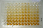 ELISA — Enzyme Linked Immuno Sorbent Assay