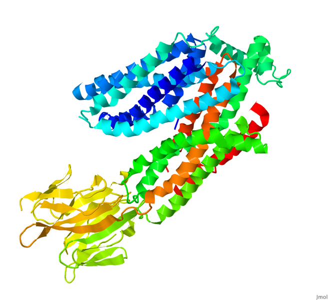 Image:Morph CA Rainbow.png