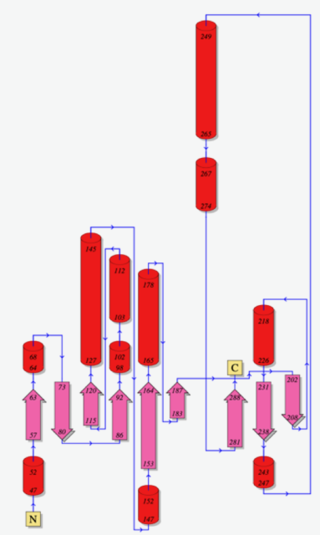 Figure 3. Secondary structure of Leaf-branch compost cutinase (PDB ID: 4EB0). Diagram from EMBL-EBI