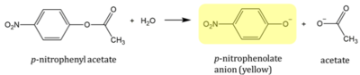 The reaction used to analyze the activity of our protein