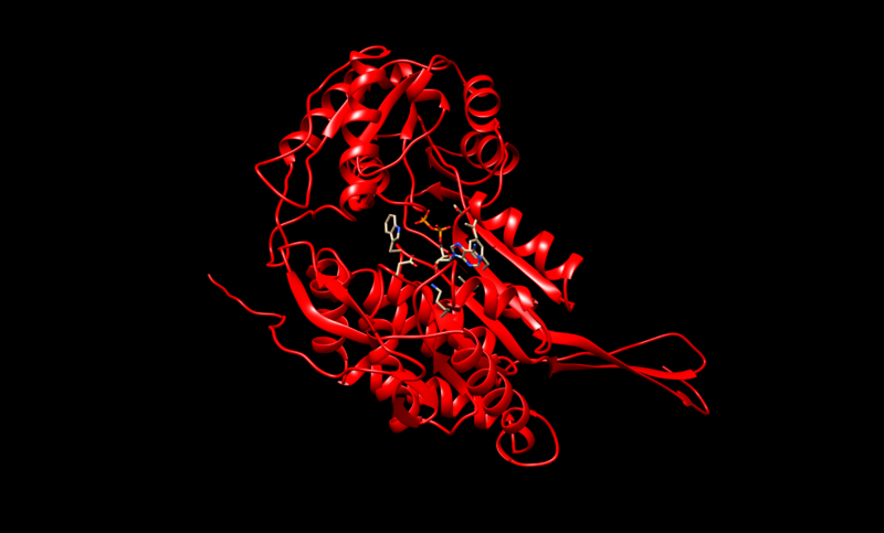Image:Red.png