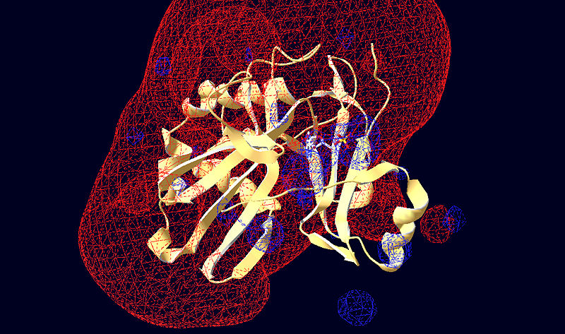 Image:Rnl2 Electorstatic potential.jpg