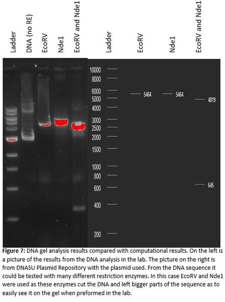 Image:Figure 7 for Proteopedia page.JPG