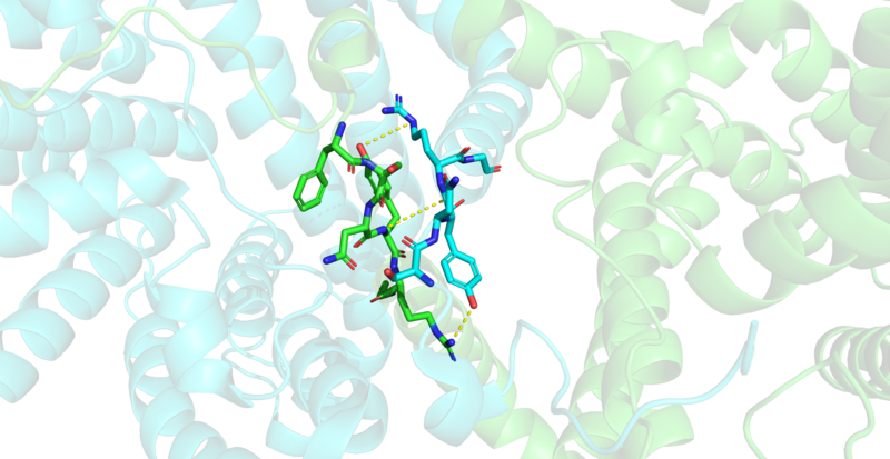 Image:Hbond.png