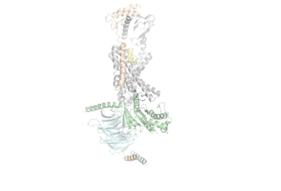 Figure 1. The coolest image of this protein EVAH!!!