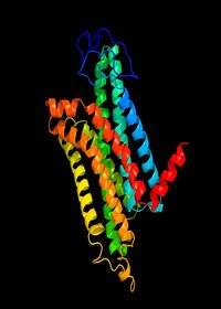 Figure 1. ITASSER MC1R Structure Prediction