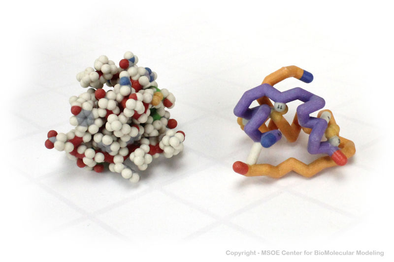Image:Insulin 3 centerForBiomolecularModeling.jpg