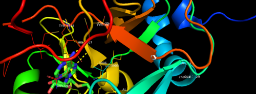 Figure 1. Binding Domain pocket of KMT2A SET Domain with the cofactor product S-Adenosylhomocysteine.