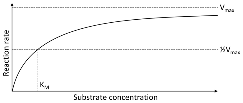 Image:Image.png