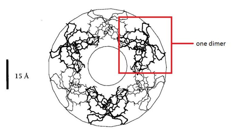 Image:Membrane.jpg