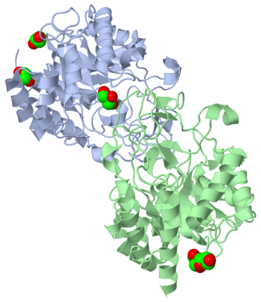 Image:4acz.png