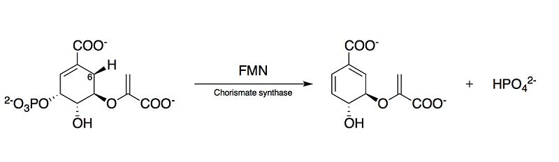 Image:Chorismate synthase.jpg