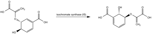 Figure 7: Isochorismate synthase activity .