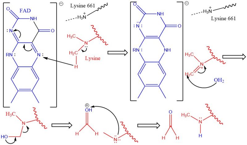 Image:LSD1Mech2.jpg