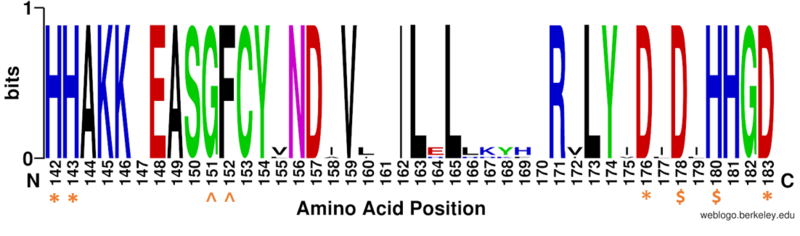 Image:Conserved residues.PNG