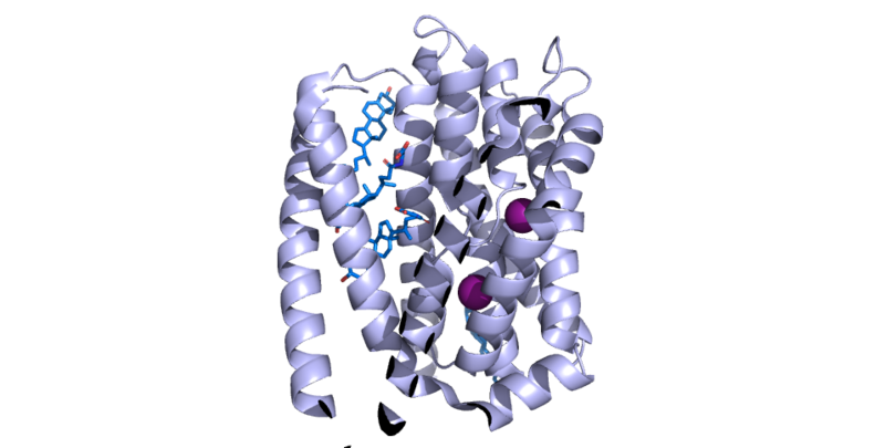 Image:Fig 1.png