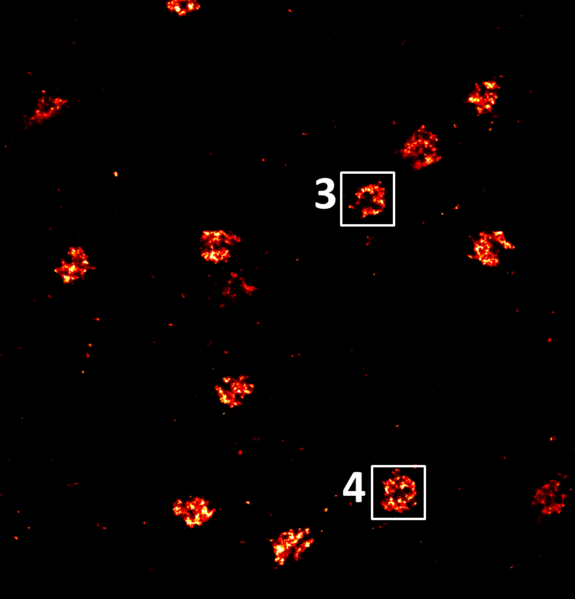 Image:Fig-1 tmp.png