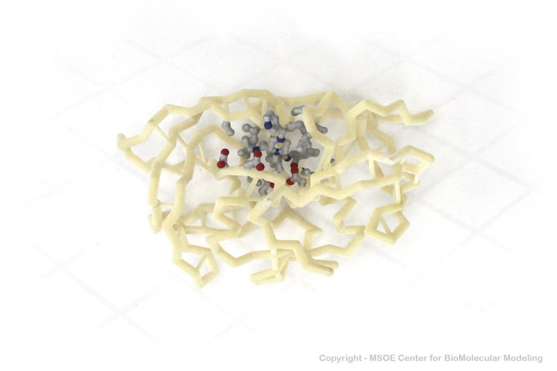 Image:HivProtease 1 centerForBiomolecularModeling.jpg