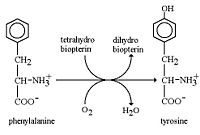 Reaction catalyzed by PheOH