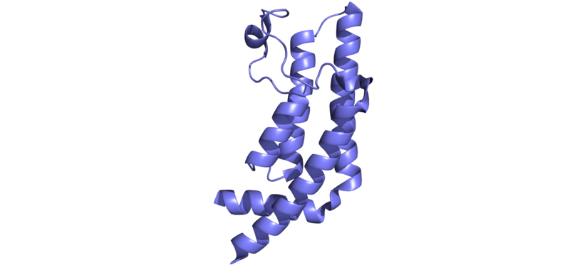 Image:ATAD2B .png