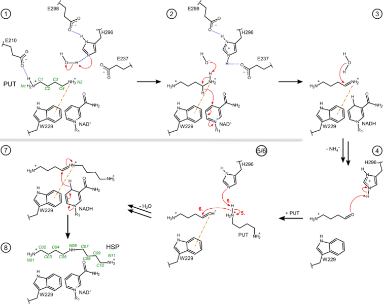 Image:Figure3pahss3.png