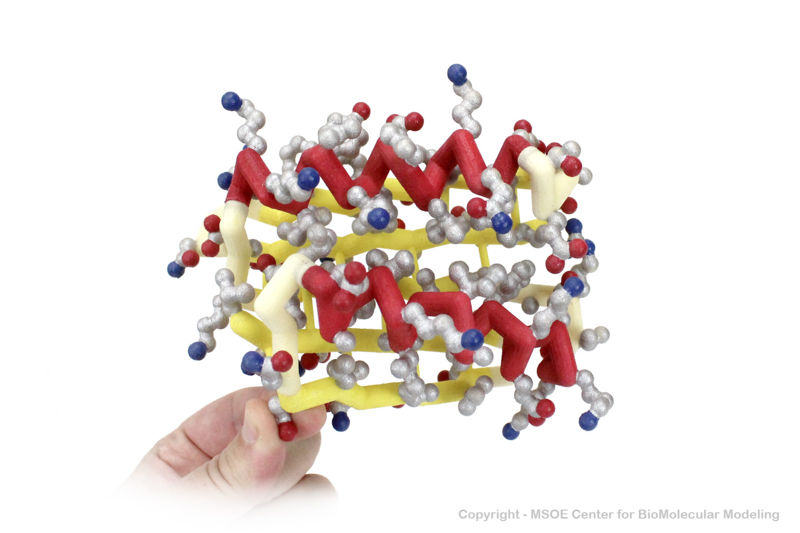 Image:Top 71 centerForBioMolecularModeling.jpg