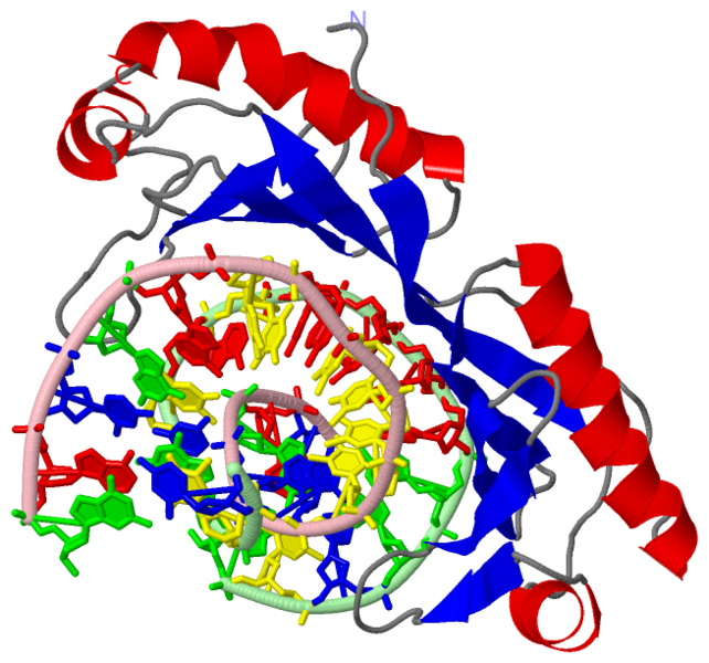 Image:1cdw.png