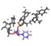 Closer look at the ligand used
