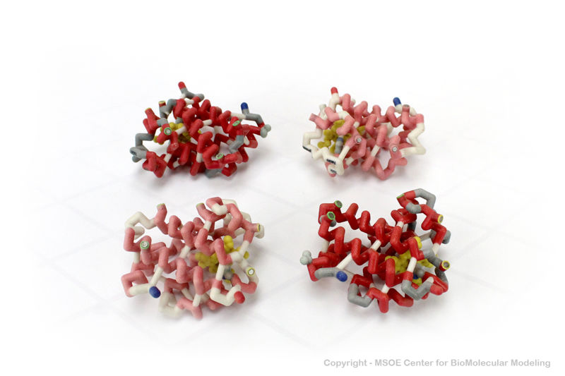 Image:Hemoglobin2 centerForBioMolecularModeling.jpg