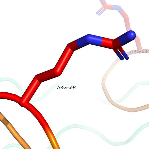 Image:Mutated H694R.png
