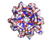 pentamer negeative surface