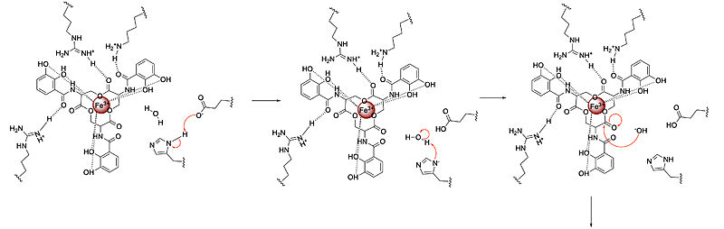 Image:Syn-F4 Mechanism 1.jpg