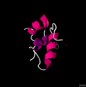 human insulin 1APH