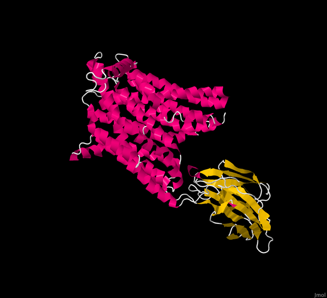 Image:Morph black.png