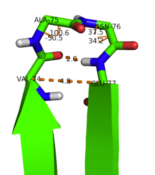 Example of Type-II β-turn between β-strands 3 & 4. A type II β-turn is formed by residues Val74 (i), Ala75 (i+1), Asn76 (i+2), and Glu77 (i+3). The -carbons of Val74 and Glu77, Ci and Ci+1 respectively, are located 4.8 Å apart in agreement with an average separation of 4.6 Å in a type II turn. The dihedral angles defining the -turn are also is agreement with idealized values with appropriate deviations (30o with one angle allowed to deviate by as much as 45o)—i+1=-50.5o, i+1=100.6o, i+2=37.5o, and i+2=34.2o compared to average experimental values of i+1=-60o, i+1=120o, i+2=80o, and i+2=0o. Both i+2 and i+2 deviate by only slightly more than 30o from their idealized values. Also defining this type II -turn is the presence of a hydrogen bond between the backbone carbonyl of Val74 (i) and the backbone amide hydrogen of Glu77 (i+3).