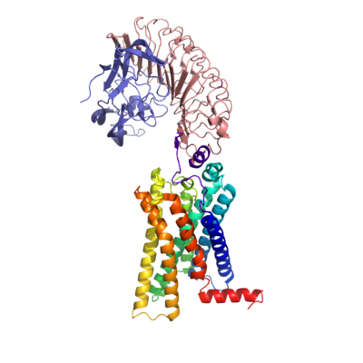 Figure 1. The coolest image of this protein EVAH!!!