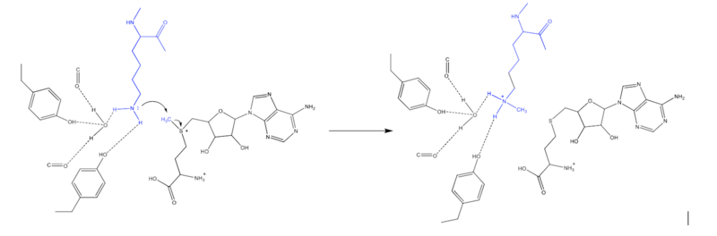 Image:KMT mechanism.png