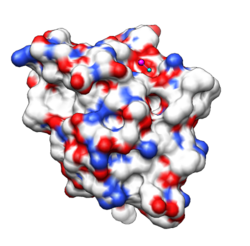 Receiver domain of CKI1 from Arabidopsis, 3mmn