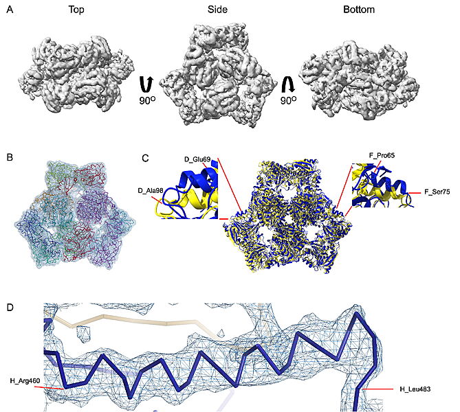 Image:022 Fig2.jpg