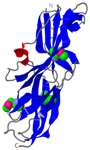 Image:1j8s.png