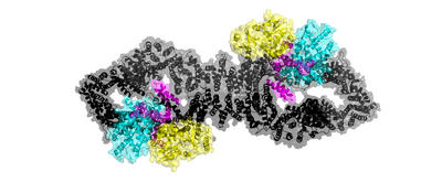 Figure 1.Test