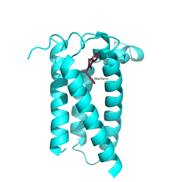 Image:VKOR Closed Conformation.png