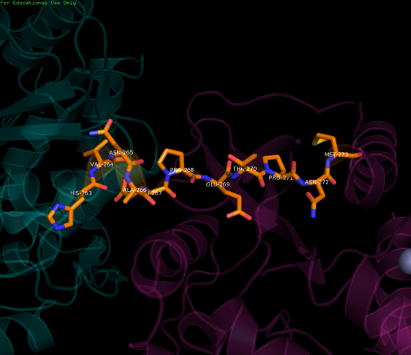 Residues comprising the linker