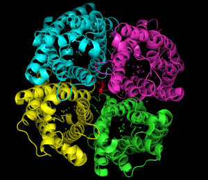 Top View of Aquaporin 5