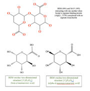 alt=BEM (494) and MAV (495) two-dimensional structures
