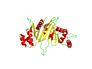 Figure 1: EspG3 protein (from 4w4i)