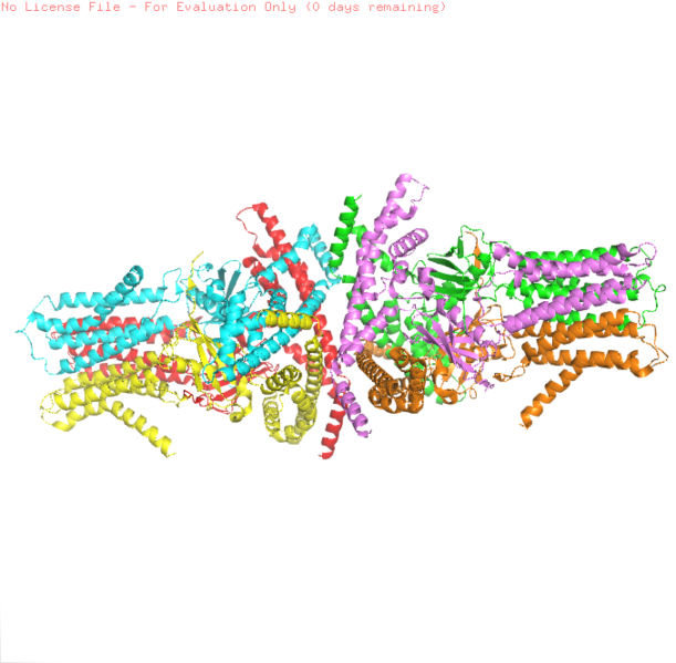 Image:Vangl1 hexamer.png