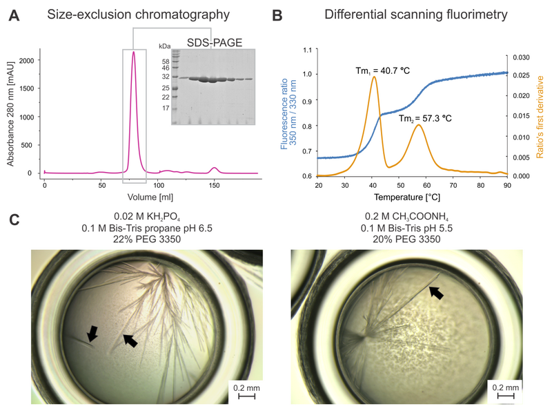 Image:Figure1snaj.png