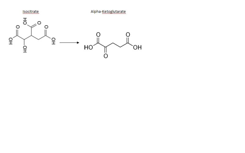 Image:Chemicals isocitrate.jpg