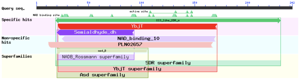 Image 6. The binding sites of TIP30 as identified using PYMOL.